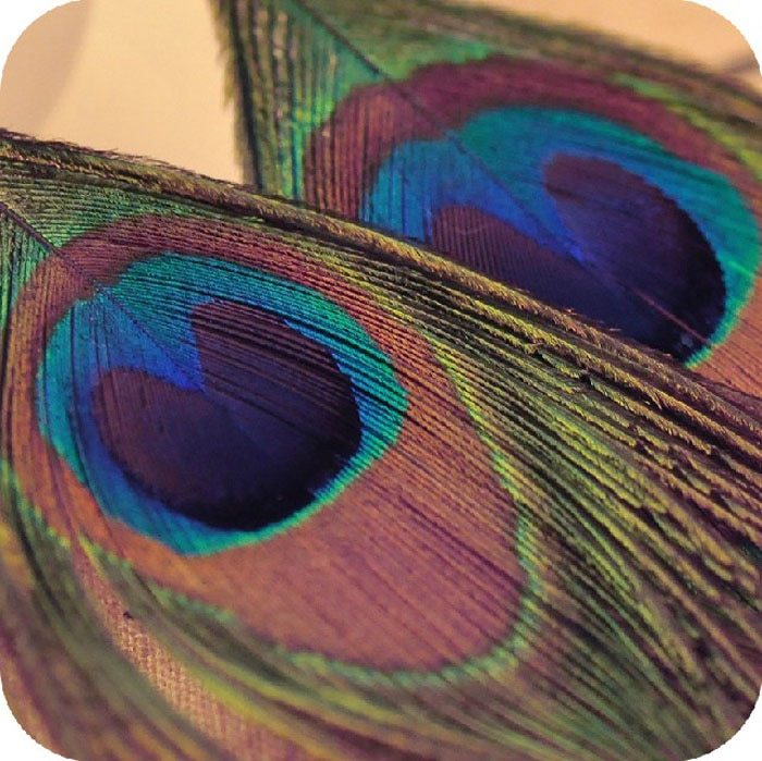New Fashion Jewelry Earrings For Women Boho Charming Earring Simple Peacock Feather Vintage Luxury Long Dangle Earrings Cut  (Available)