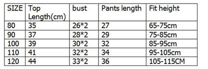 Summer Children Boys National style children's clothes shirt Shorts 2pcs/Set Toddler Fashion Clothing Tracksuit 1 2 3 4 5 Years