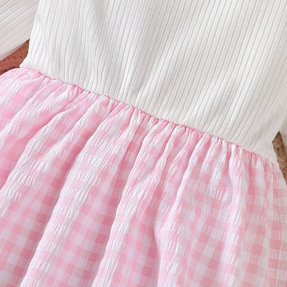 Newborn Baby girl Dress Pink Checkered Flower Fashionable Dress for 0-18 Months Cute Baby girl Autumn Long sleeved Dress