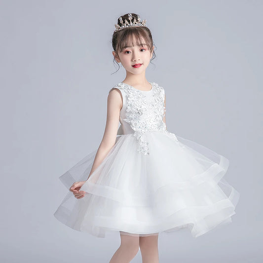 Girl Kid's Dress Party Dress Evening Dresses Casual Princess Summer Girls Lace Frock Children's Tutu Elegant Clothes