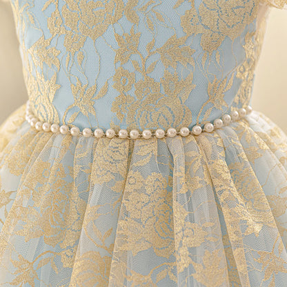 Party Dress for Girls Ruffles Embroidery Lace Vintage Elegant Dress Wedding Evening Gala Baby Clothes Vestidos Formal Gown Kids