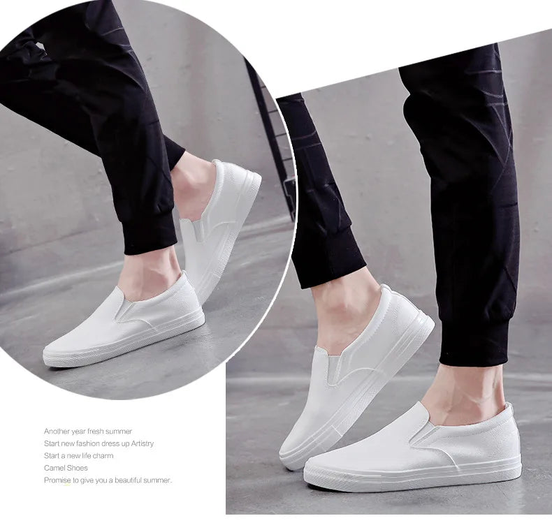 New Shoes for Men Leather Casual Shoes Spring Fashion Concise Flat Shoes 2 Colors Slip-on Loafers (Available)