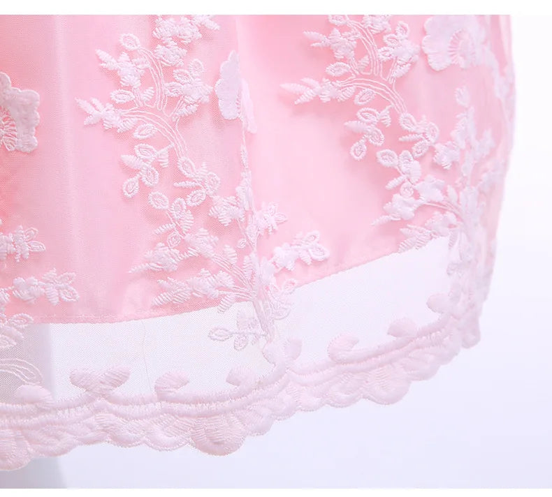 Newborn Baby Dress For Girls Embroidery Flower Big Bow Dresses Toddler Kids Birthday Party Wedding Vestidos 0 to 3 Years Old