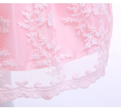 Newborn Baby Dress For Girls Embroidery Flower Big Bow Dresses Toddler Kids Birthday Party Wedding Vestidos 0 to 3 Years Old