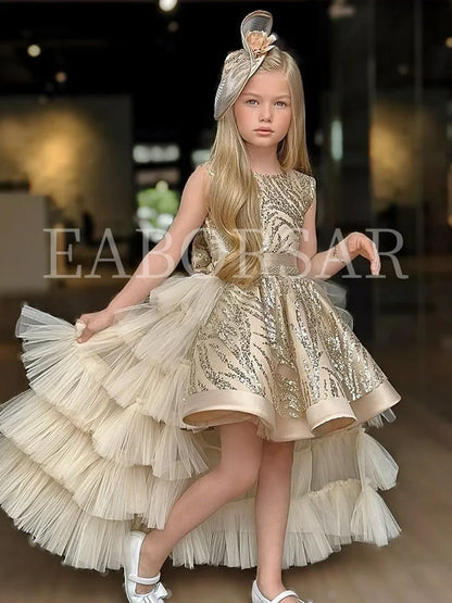 Girl's Princess Dress Cute Party Clothes for Special Events, Adorable Dresses for  Clothes Costumes Birthday Wedding