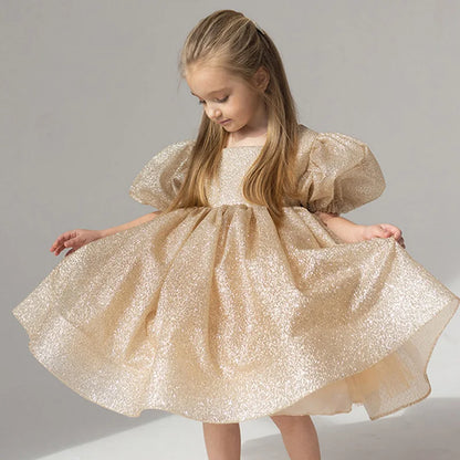 Elegant Puffy Luxury Girls Party Dresses Bowknot Evening Dress Flower Girl Princess Dress For Weddings Solid Bridesmaid Costume