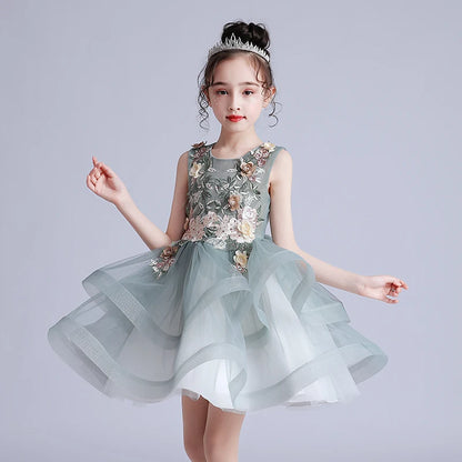 Girl Kid's Dress Party Dress Evening Dresses Casual Princess Summer Girls Lace Frock Children's Tutu Elegant Clothes