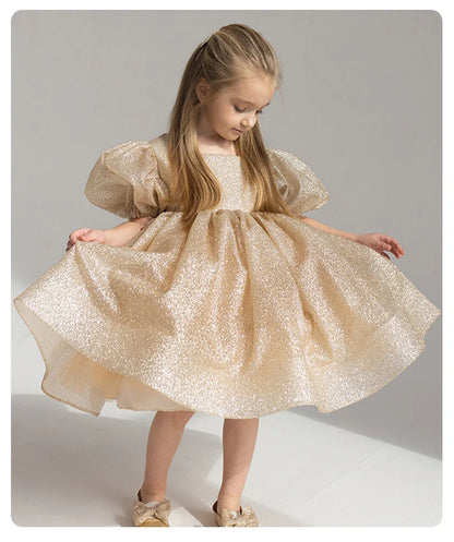 Elegant Puffy Luxury Girls Party Dresses Bowknot Evening Dress Flower Girl Princess Dress For Weddings Solid Bridesmaid Costume