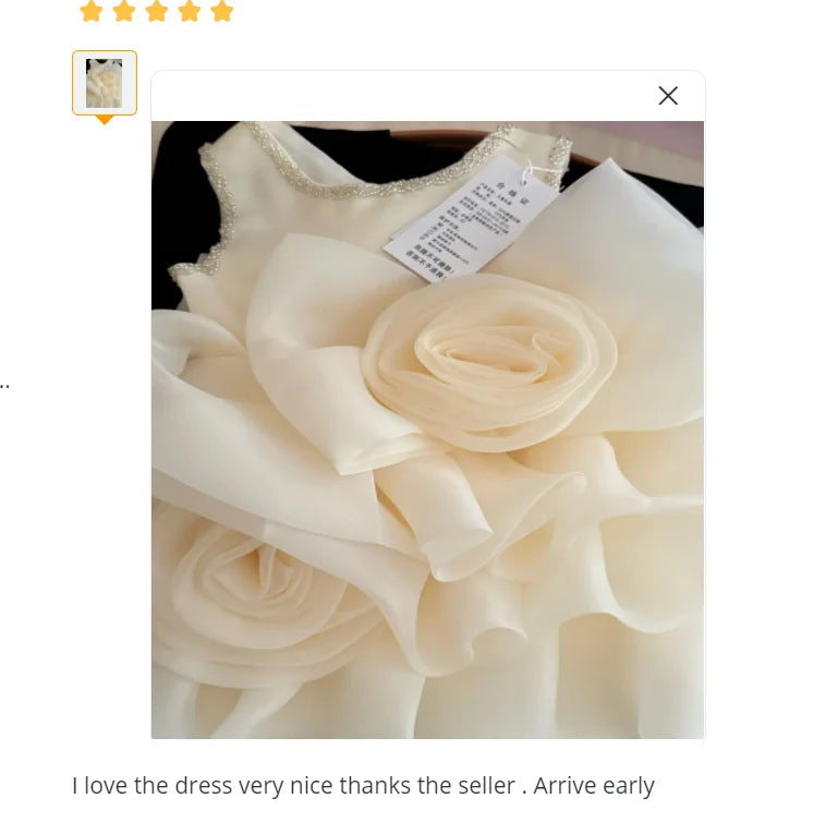 Baby Girl or Boy's Flower Princess Dress Birthday Party Formal Wedding Flower Princess Banquet