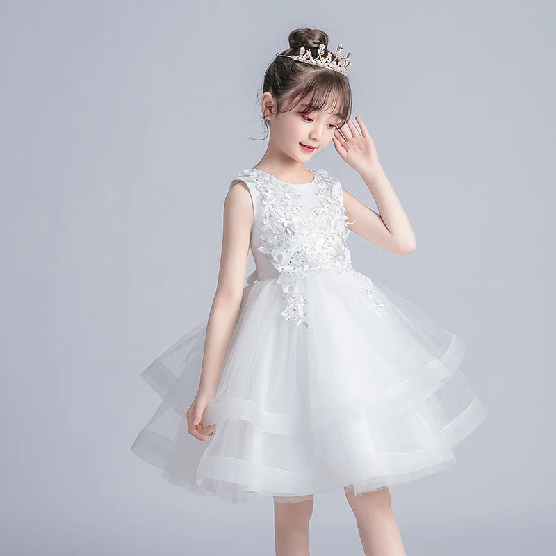 Girl Kid's Dress Party Dress Evening Dresses Casual Princess Summer Girls Lace Frock Children's Tutu Elegant Clothes