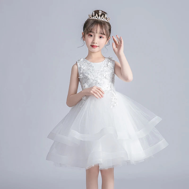 Girl Kid's Dress Party Dress Evening Dresses Casual Princess Summer Girls Lace Frock Children's Tutu Elegant Clothes
