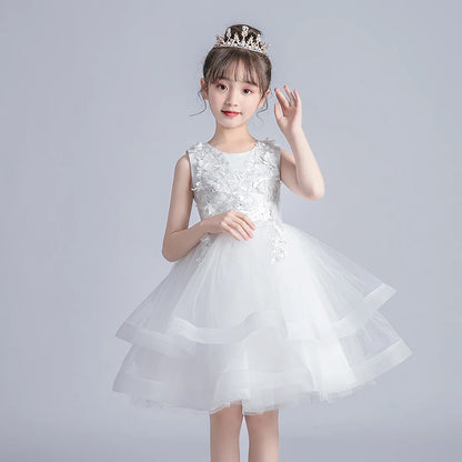 Girl Kid's Dress Party Dress Evening Dresses Casual Princess Summer Girls Lace Frock Children's Tutu Elegant Clothes