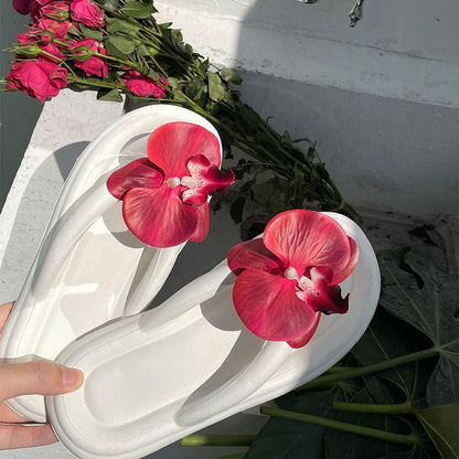 Outdoor Fashion All-Match Platform Sandals (Available)